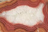 Colorful, Polished Dryhead Agate Slice - Montana #191881-1